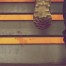 excess-is-not-success