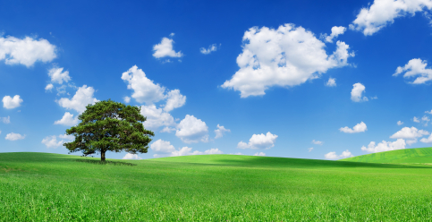 10 Reasons Why Minimalism Is Growing - 10 Reasons Why Minimalism Is Growing